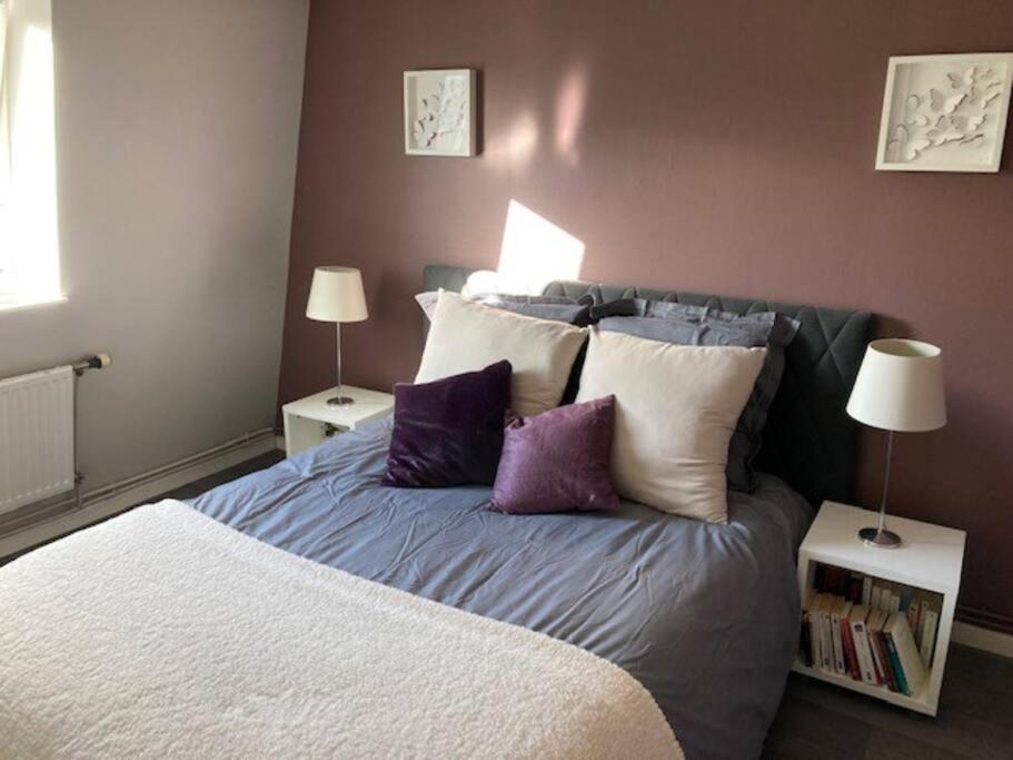 Agreable Et Spacieuse Maison Centre Ville Saint-Omer Экстерьер фото
